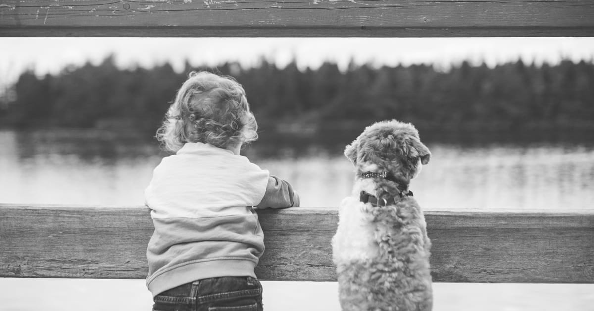 Otis Licks His Tiny Human by Garrett Francis; dog and kid looking through fence at pond