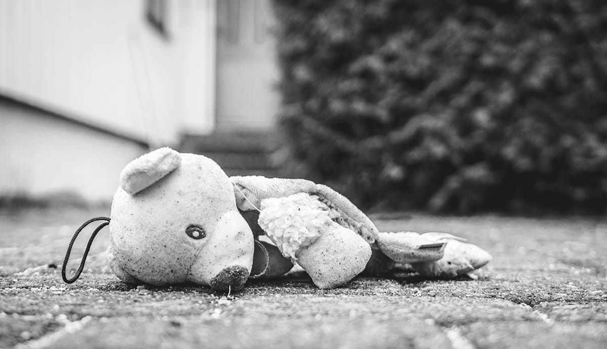 Have I Revised My TV Pilot to Death? mauled teddy bear lying on pavement